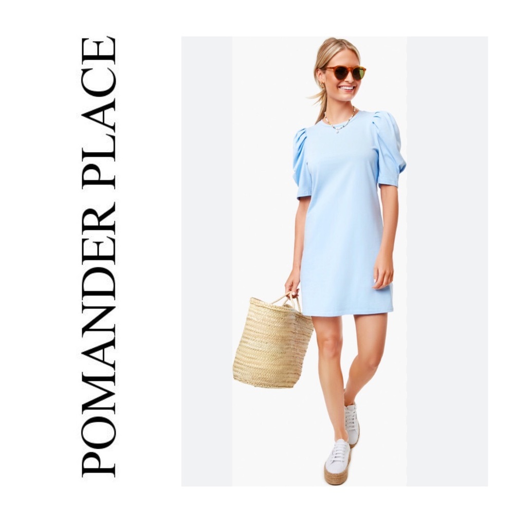 Tuckernuck Sky Blue Puff-Sleeve Shift Dress